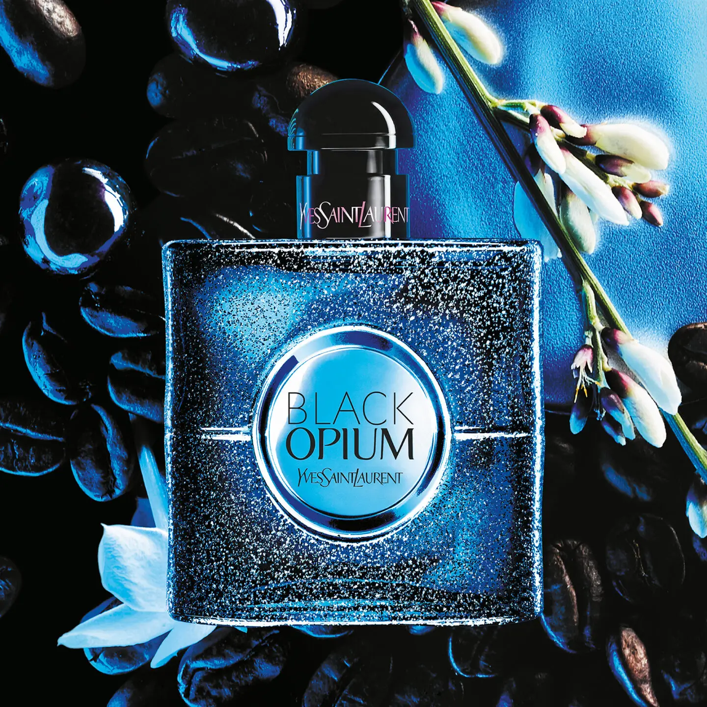 Fragrance Review: Yves Saint Laurent – Black Opium – A Tea-Scented Library