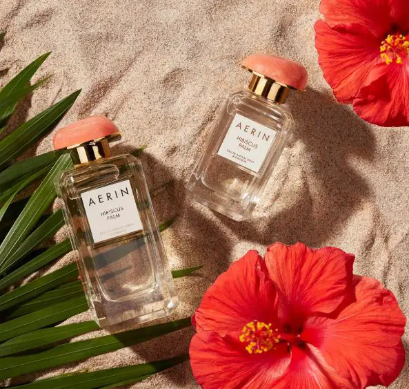 AERIN hibiscus palm