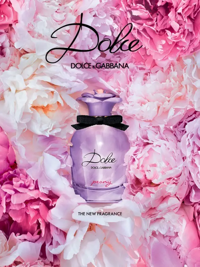 dolce and gabbana peony discontinued