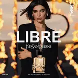 THE COMPLETE YSL LIBRE GUIDE! Comparing all 4 + which to buy ✨ NEW Libre Le  Parfum review 