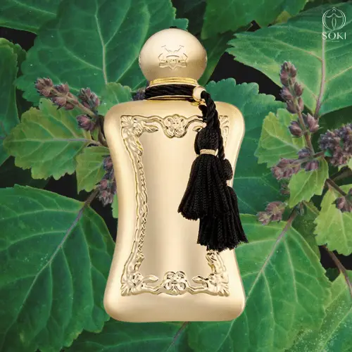 Parfums von Marly Darcy