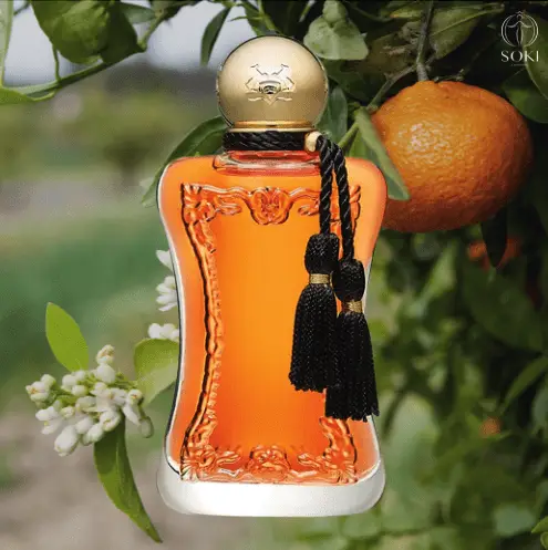 Parfums von Marly Safanad