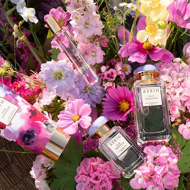 Aerin-Wild-Geranium
