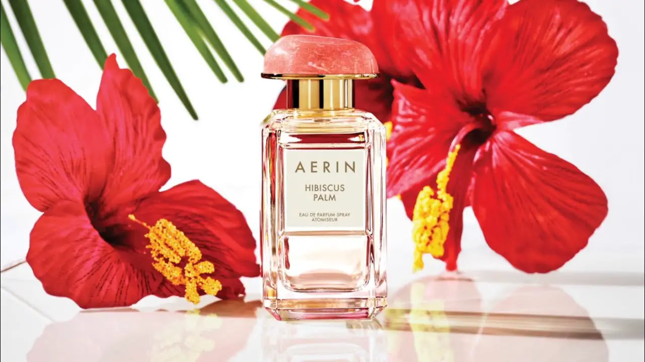 AERIN hibiscus palm