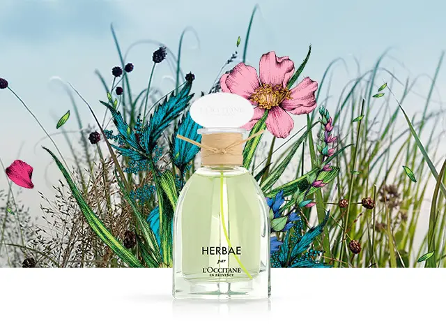 L’Occitane en Provence Herbae Perfume Range Review