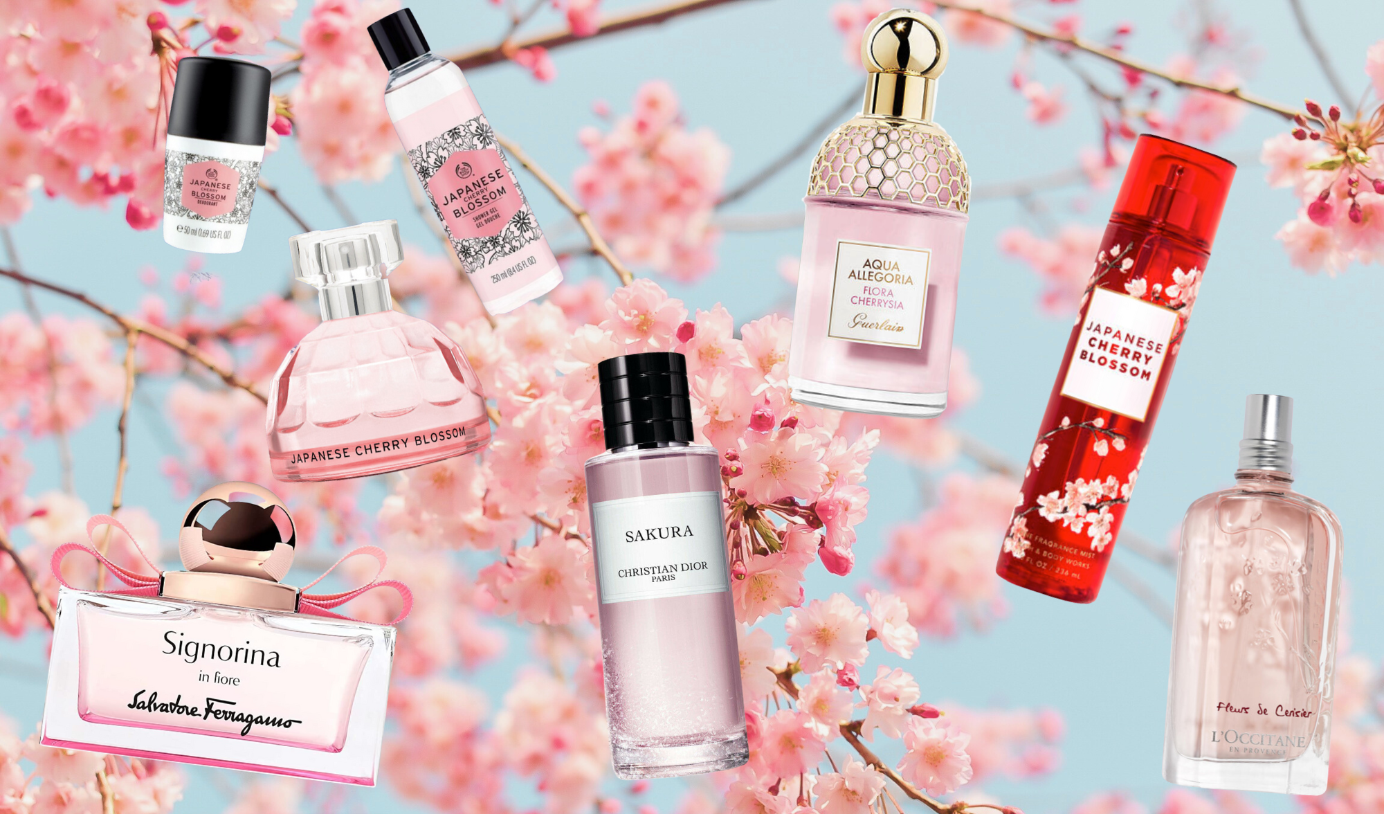 The Ultimate Guide To The Best Cherry Blossom Perfumes