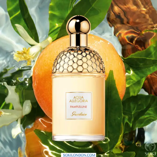 The Ultimate Guide To The Best Grapefruit Perfumes SOKI LONDON