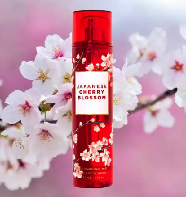 The Ultimate Guide To The Best Cherry Blossom Perfumes | SOKI LONDON