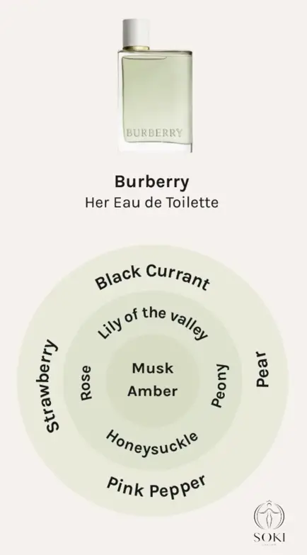 Burberry Her Eau de Toilette Perfume Notes