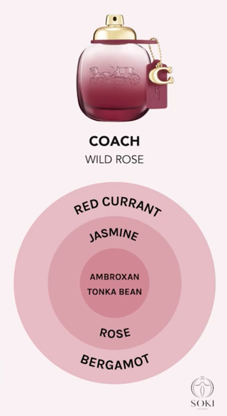 Coach Perfume Range Review | Soki London