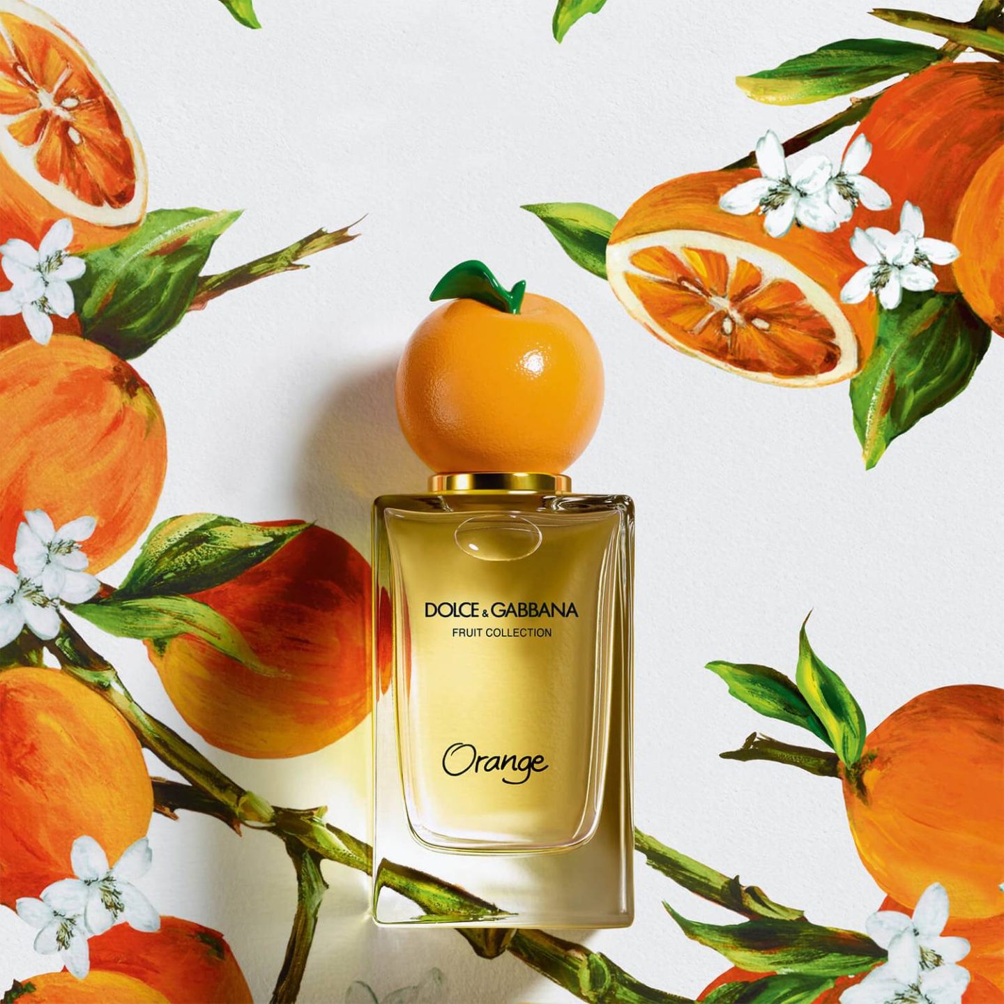 Dolce & Gabbana Fruit Collection Orange