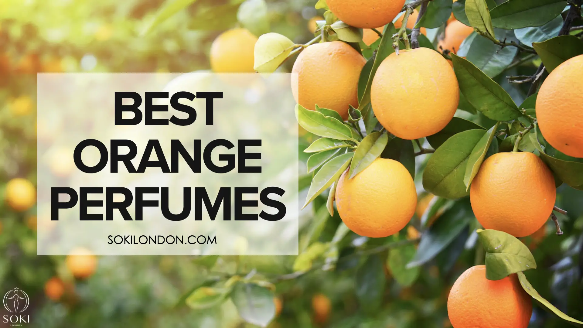Una guía de los mejores perfumes de naranja