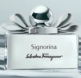 Signorina limited Edition