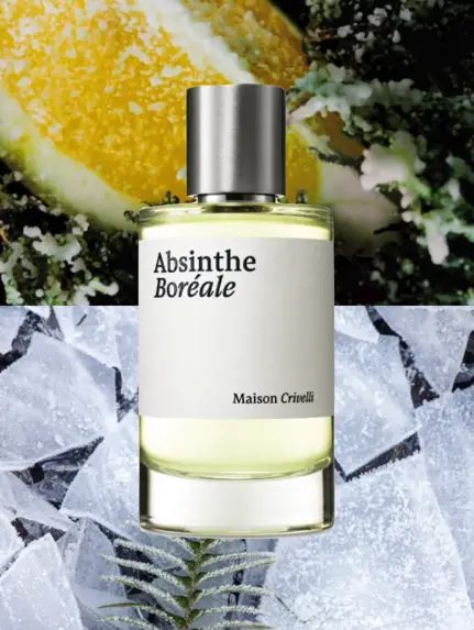 Absinthe Boréale