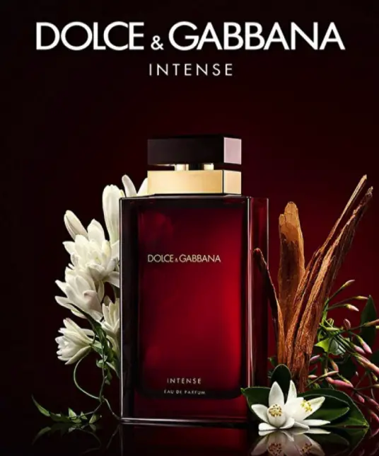 Dolce & Gabbana Pour Femme vs Pour Femme Intense | SOKI LONDON