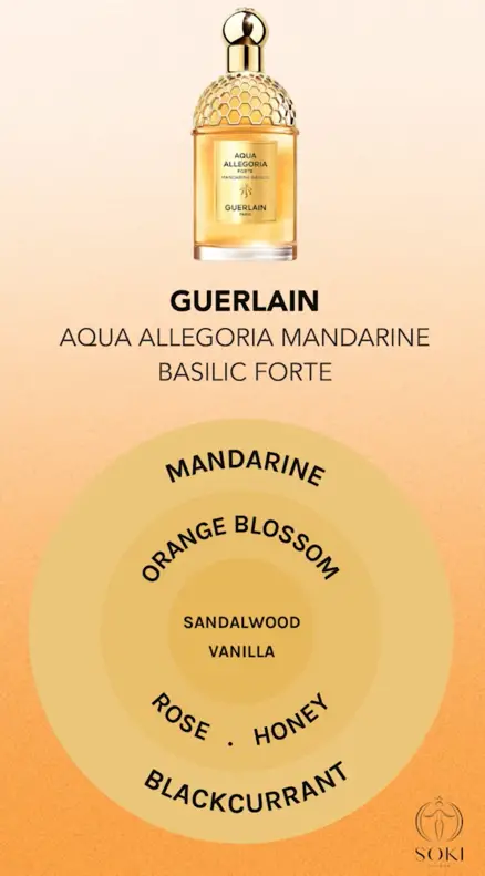Aqua Allegoria Mandarine Basilic Forte