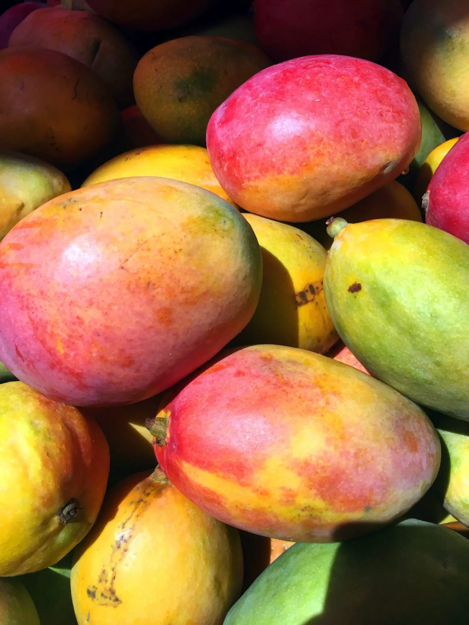 The Ultimate Guide To The Best Mango Perfumes
