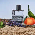 A Guide To The Zadig & Voltaire Fragrances For Him and For Her | SOKI ...