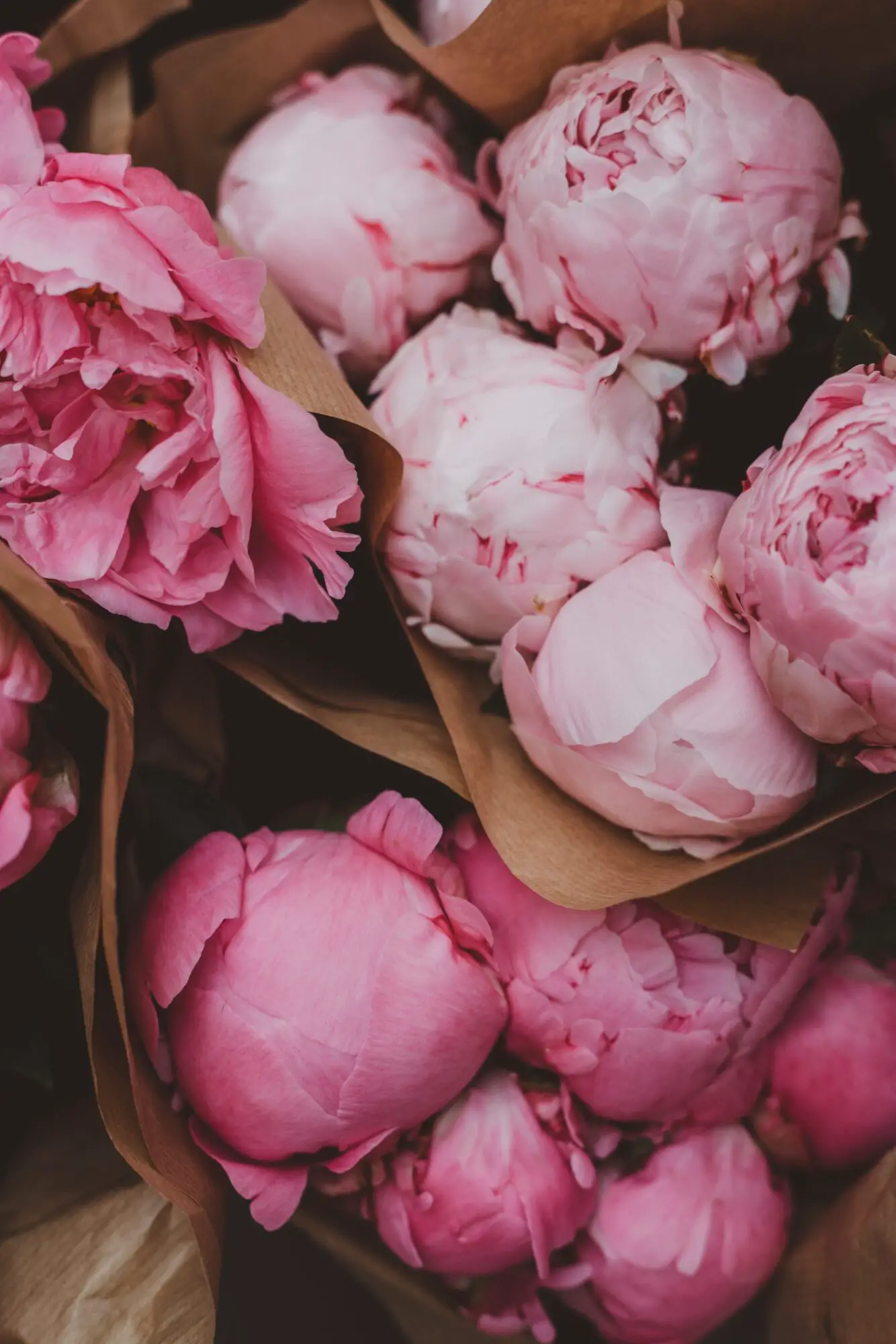 The Ultimate Guide To The Best Peony Perfumes
