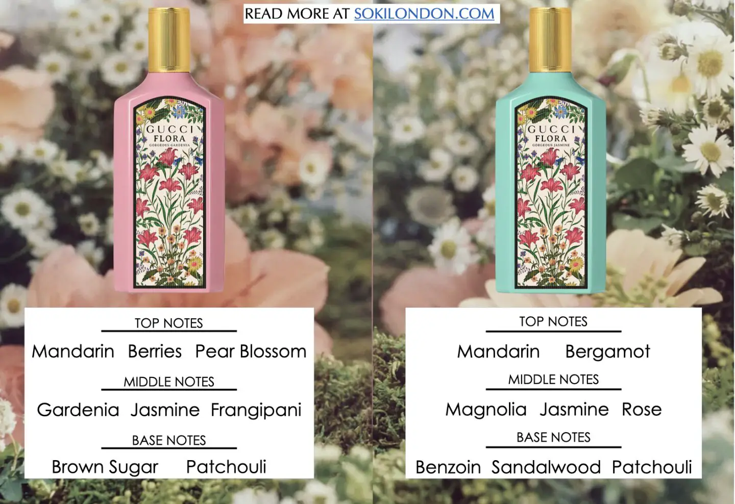 Gucci Flora Gardenia tuyệt đẹp vs Hoa nhài tuyệt đẹp