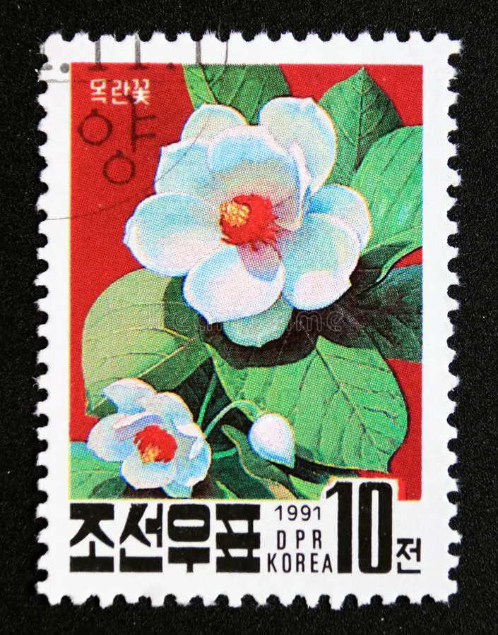 Magnolia on a North Korean stamp