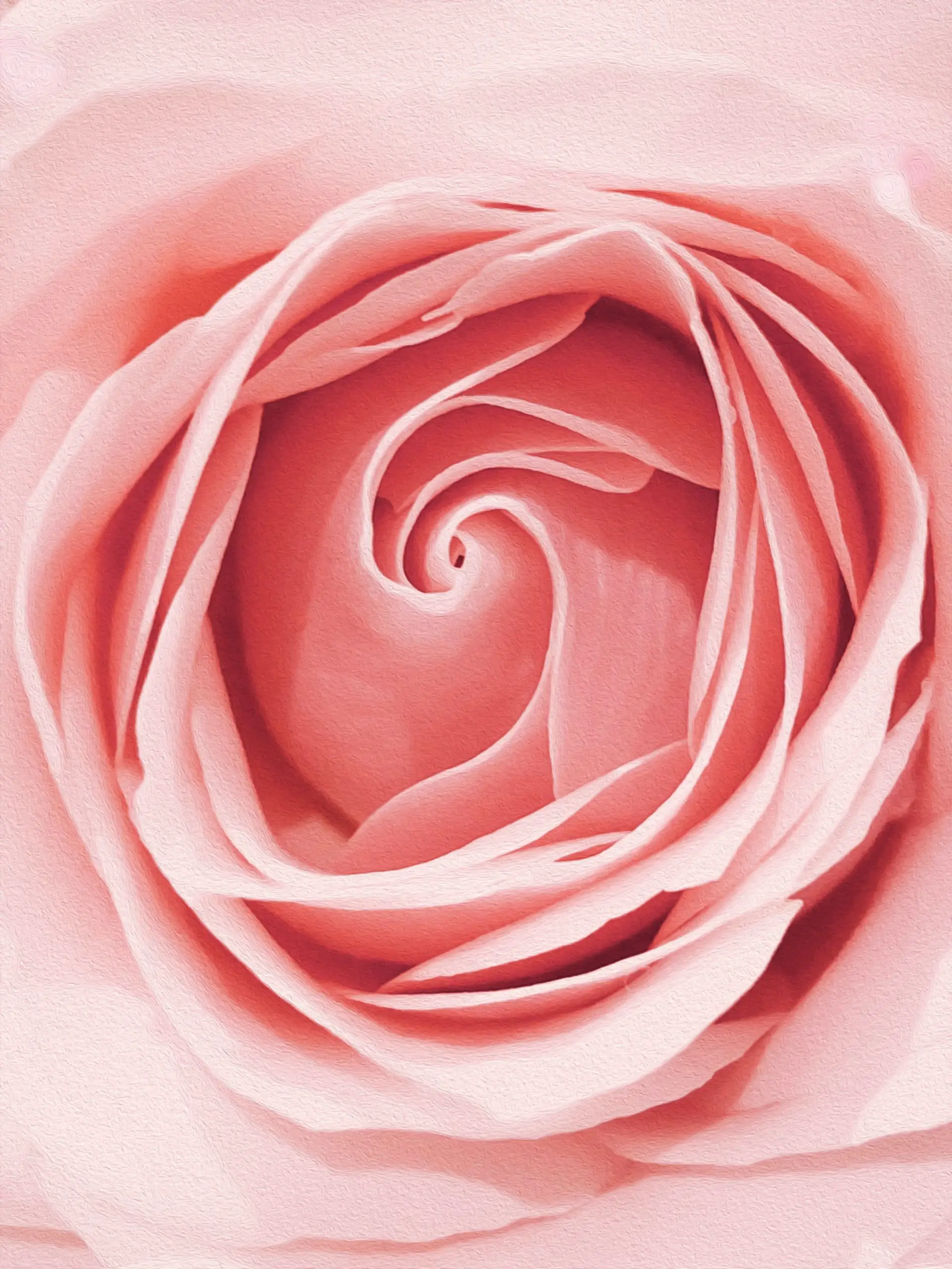 The Ultimate Guide To The Best Rose Perfumes
