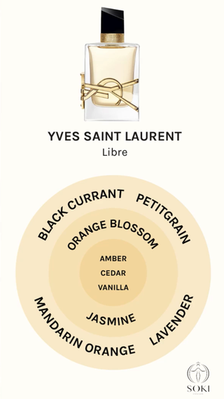 NEW YSL LIBRE LE PARFUM REVIEW, DUA LIPA FOR YVES SAINT LAURANT, Soki  London