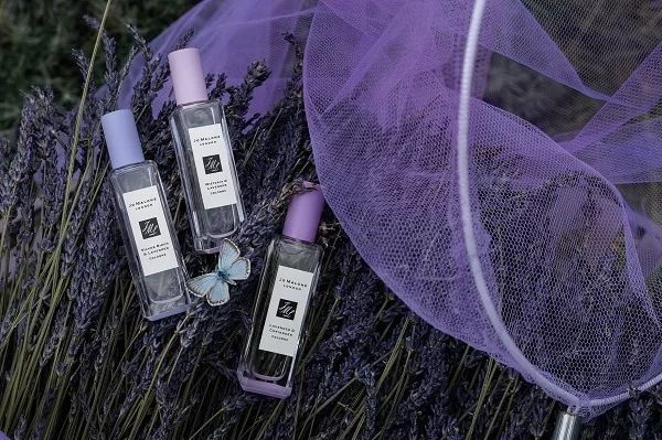 Jo Malone London Lavender Collection
Best Lavender Perfumes
