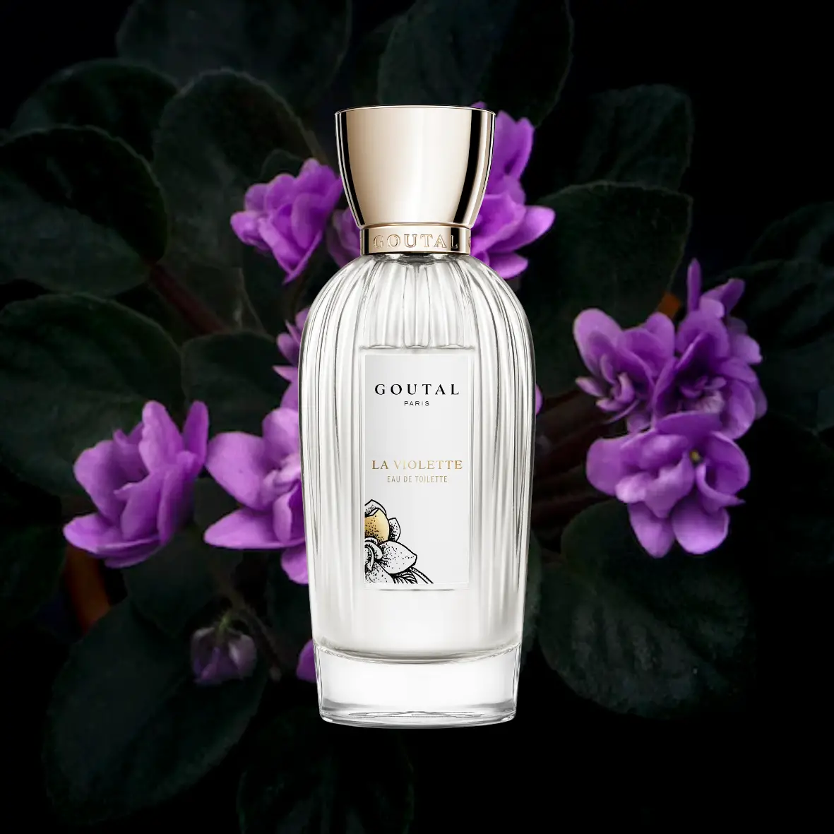 Annick Goutal La Violette
Best Violet Perfumes