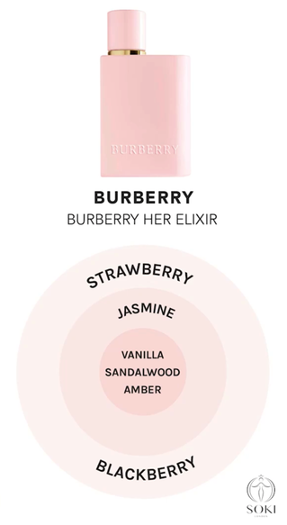 Burberry Her Perfume Range Review | Soki London