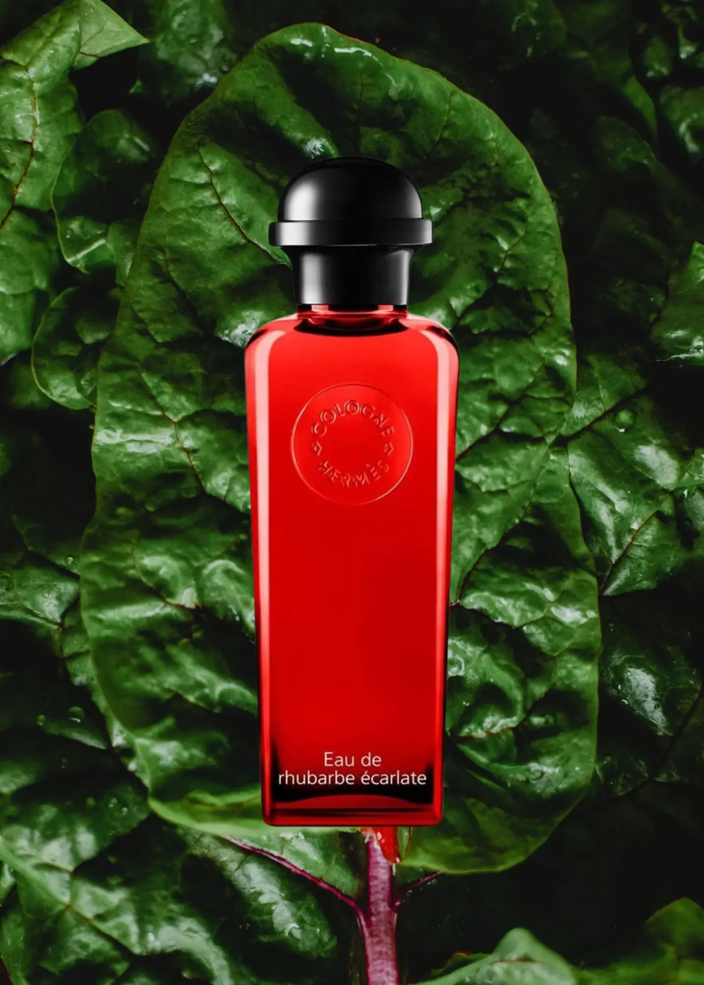 Hermes Eau De Rhubarbe Ecarlate
Best Rhubarb Perfumes