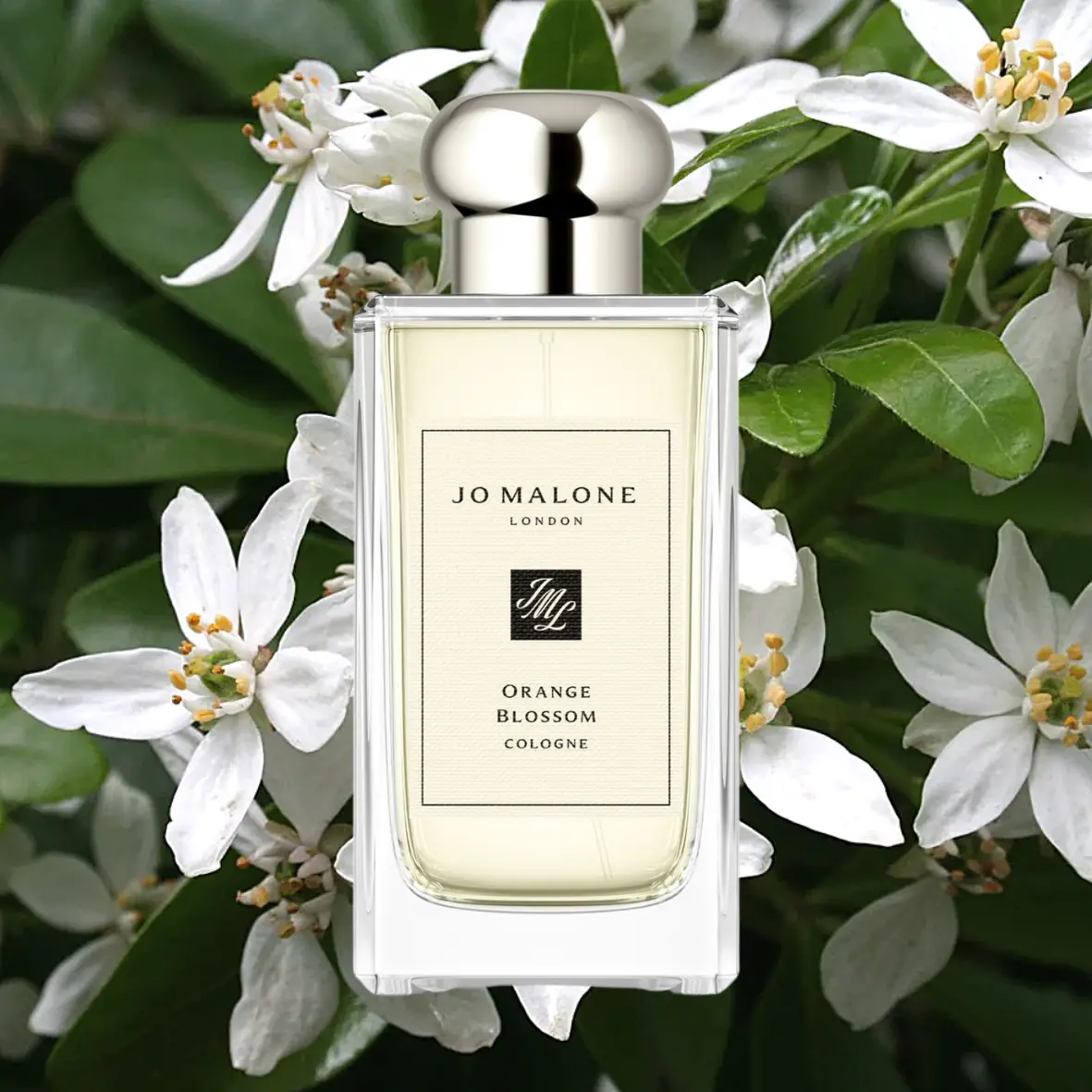 Jo Malone London Orange Blossom
Kate Middleton Perfume
Catherine, The Princess of Wales Fragrance
 