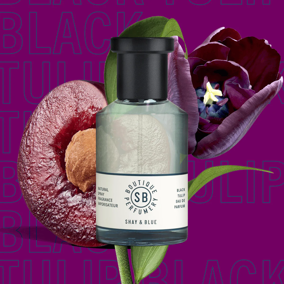 Shay & Blue Black Tulip Beste Pflaumenparfums