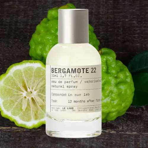 The Ultimate Guide To The Le Labo Fragrances | SOKI LONDON