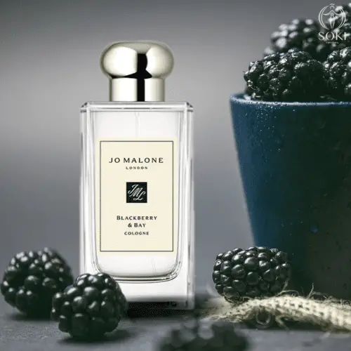 The Ultimate Guide To The Best Blackberry Perfumes | SOKI LONDON