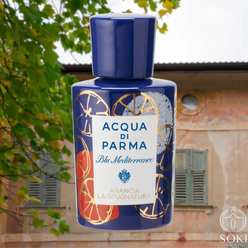 A Guide To The Acqua di