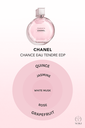  CHANEL Chance Eau De Parfum Spray 1.7 Oz : Beauty & Personal  Care