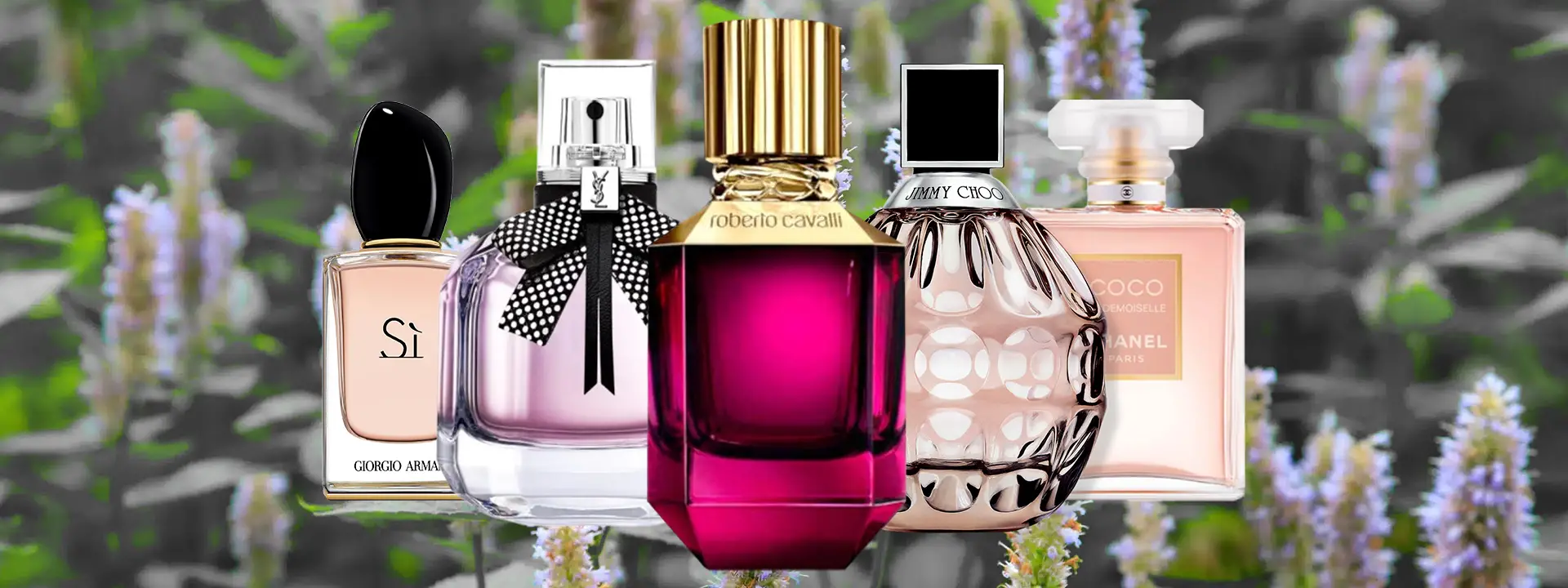 The Top 5 Modern Patchouli Perfumes: Embrace the Timeless Earthy Elegance