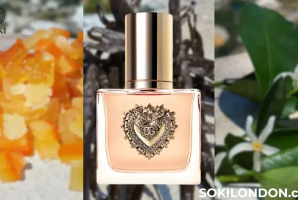 DOLCE & GABBANA DEVOTION PARFÜM -2