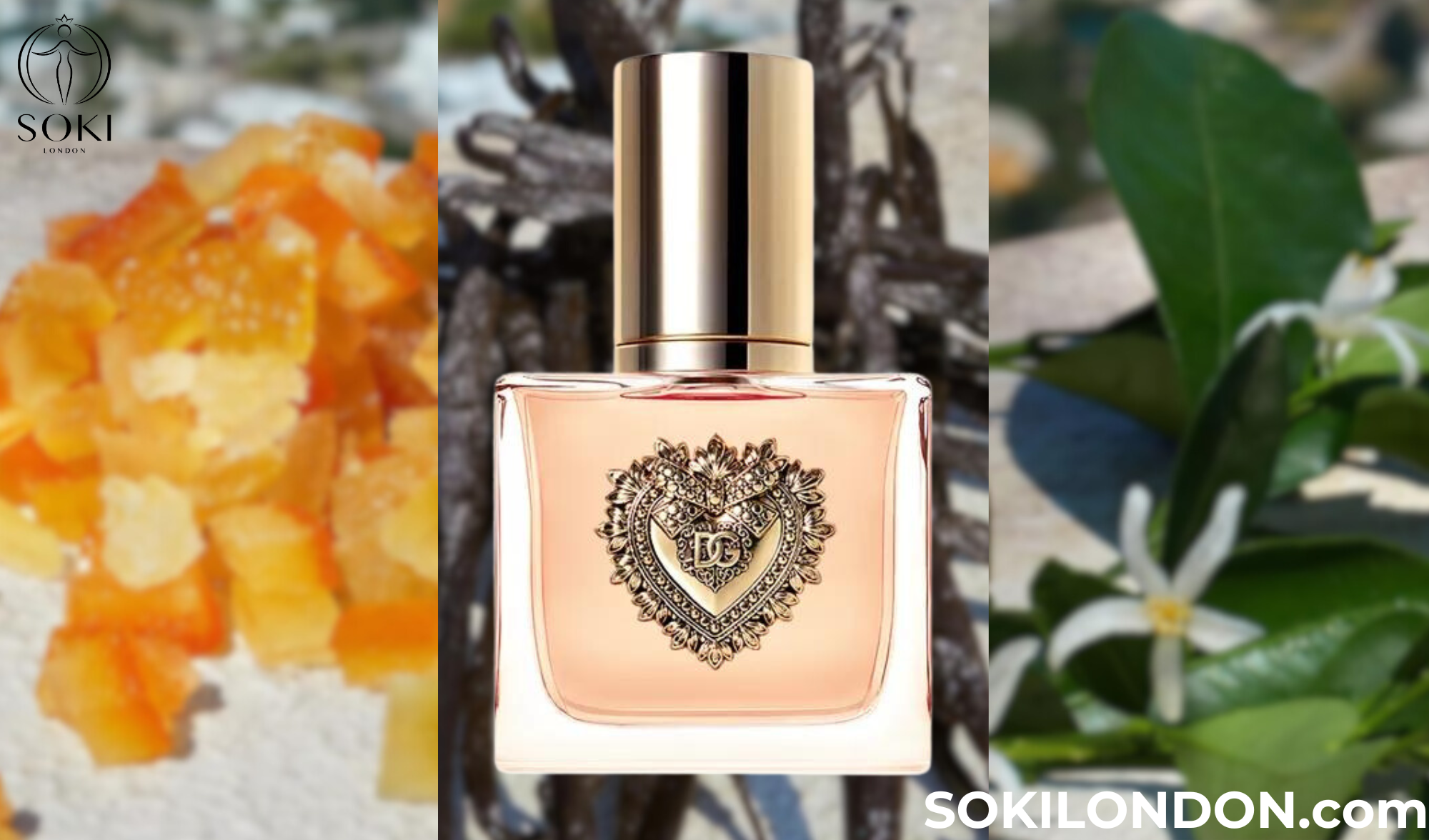 Dolce & Gabbana Devotion – найкращі солодкі цитрусові парфуми