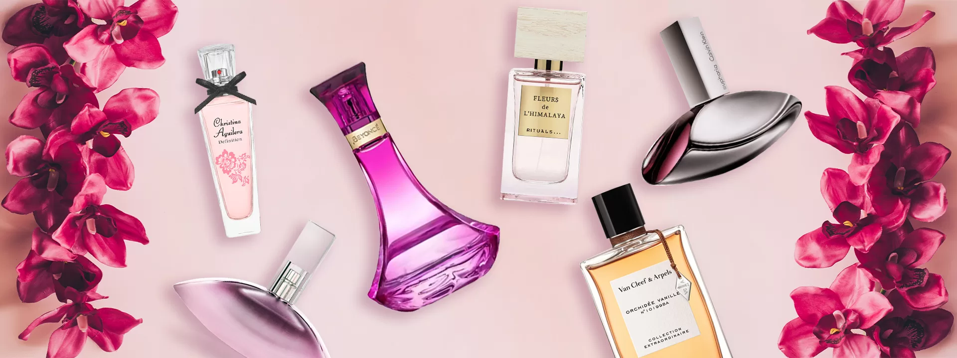 Elegance in Bloom: A Guide to the Best Orchid Perfumes