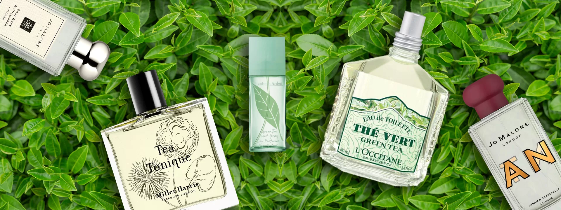 The Ultimate Guide To The Best Tea Leaf Perfumes
