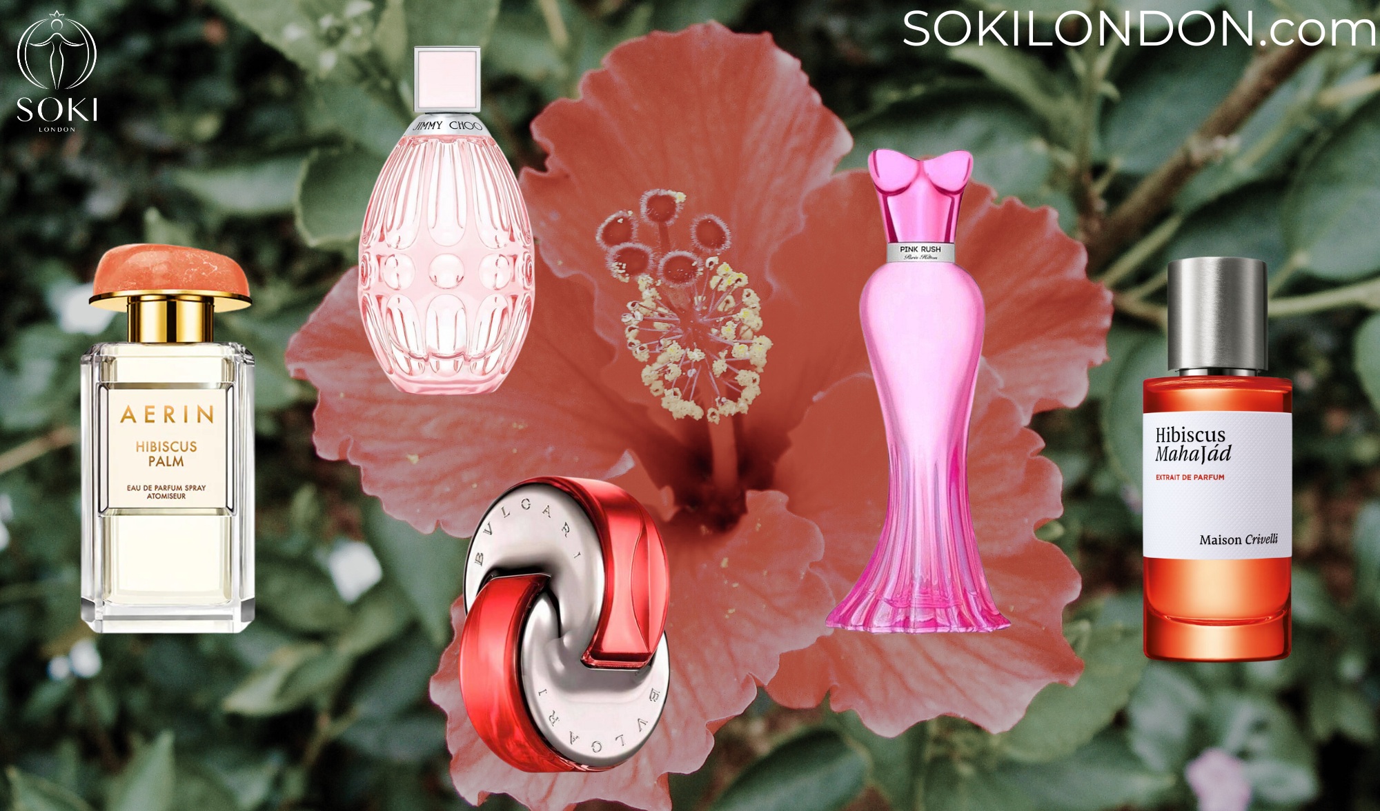 The Ultimate Guide To The Best Hibiscus Perfumes