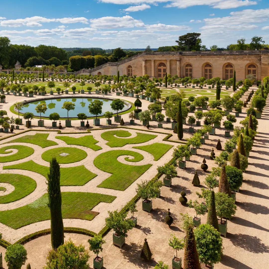 Luis XIV de Francia plantó 10,000 bulbos de nardo y los utilizó para perfumar su palacio de Versalles.